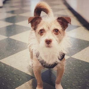 Meet your Posher, Shawn